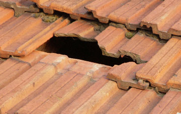 roof repair Mynydd Bach