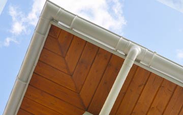 Mynydd Bach soffit types